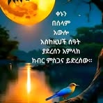 Profile Picture of Hiyab Abrha (@Hiyab-Abrha) on Facebook