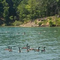 Profile Picture of Jesse Nott (@jesse-nott-1) on Quora