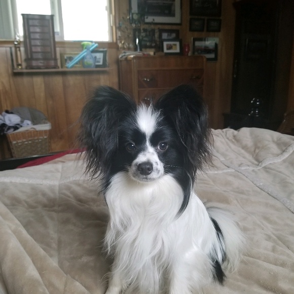 Profile Picture of Gina Talburt (@gtalburt) on Poshmark