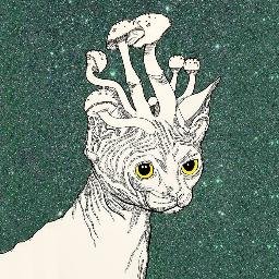 Profile Picture of Michael Shellhammer (@ty00_z) on Twitter
