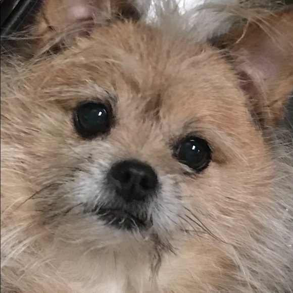 Profile Picture of Catherine Couper (@ccouper_62) on Poshmark