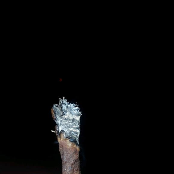 Profile Picture of Marick Cucinella (@marickcucinella) on Poshmark