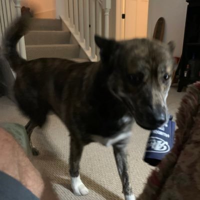 Profile Picture of Doug McClendon (@DougMcClendon) on Twitter