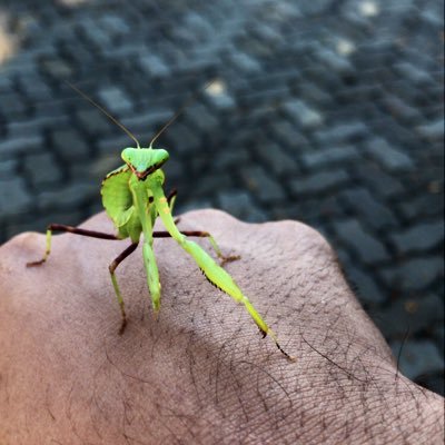 Profile Picture of FONS (@Kevin89037367) on Twitter