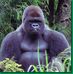Profile Picture of Joseph Palfy (@Joseph-Palfy) on Facebook