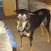 Profile Picture of Robert Jablonski (@robert.jablonski.334839) on Facebook