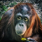 Profile Picture of Paul Ferguson (@timidelfdesigns) on Flickr