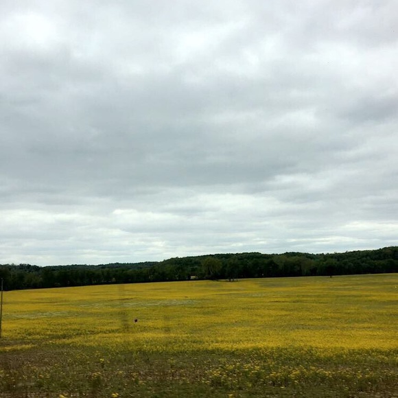 Profile Picture of Hannah Huffman (@hannahhuffma568) on Poshmark