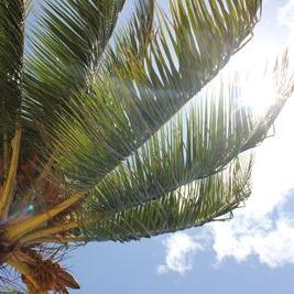 Profile Picture of Mike Litt (@mikelitt3005) on Twitter