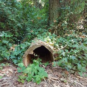 Profile Picture of Crystal Watts-Heidt (@crissycrew) on Pinterest