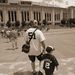 Profile Picture of Mark Thibodeau (@markpca0334) on Pinterest