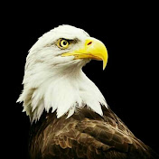 Profile Picture of Hussein Diab (@husseindiab7175) on Youtube