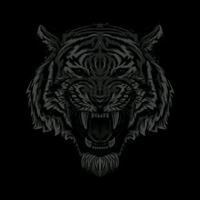 Profile Picture of Mohammad Morgan969 (@mohammadmorgan969) on Tiktok