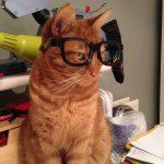 Profile Picture of Rose Gwillim-Thomas (@rose_thomas96) on Instagram