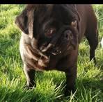 Profile Picture of Craig Lonergan (@craig.lonergan.39) on Facebook