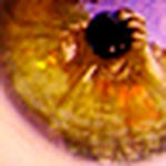 Profile Picture of L'?cole des Filles (@L'?cole des Filles) on Flickr