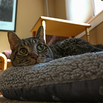 Profile Picture of Jason Katz (@chemkatz) on Flickr