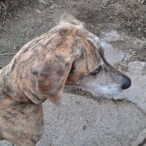 Profile Picture of Eugenio Jaramillo He (@jaramillo_he) on Twitter