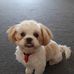Profile Picture of Kerry Ireland (@kerry.ireland.12) on Facebook