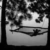 Profile Picture of chungconscious (@chungconscious) on Flickr