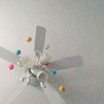 Lee Molloy - Instagram Profile Picture of Lee Molloy (@molloy.lee) on Instagram