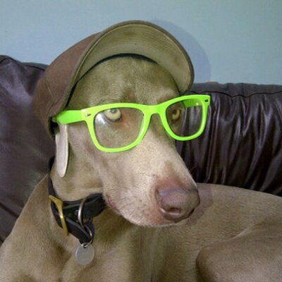 Profile Picture of Joseph Gillings (@joefarrier22) on Twitter