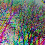 Profile Picture of Heather Rosengrant (@heatherrosengrant) on Youtube