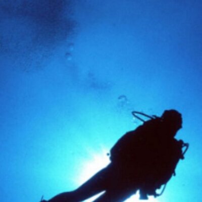 Profile Picture of David Leland (@DavidLeland1) on Twitter