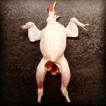 Profile Picture of The Smoggie Kitchen (@the_smoggie_kitchen) on Instagram