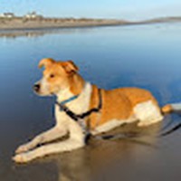 Profile Picture of Albert Mitrani (@albert-mitrani) on Quora