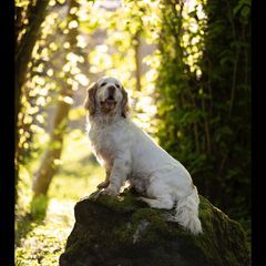 fleetham - Tiktok Profile Picture of fleetham (@stevenfleetham4) on Tiktok