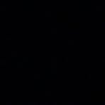 Profile Picture of Travis Lammi (@travis.lammi) on Facebook