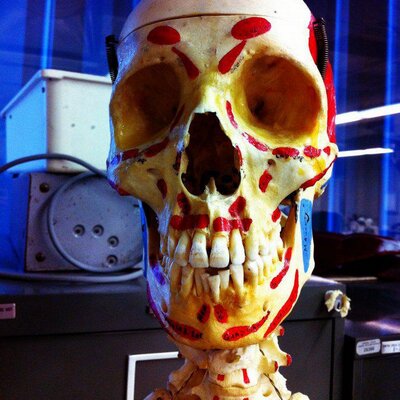 Profile Picture of John Varellas (@seewhyanatomy) on Twitter