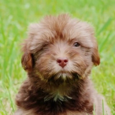 Profile Picture of Steven Gasca (@StevenGasca1) on Twitter