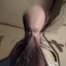 Profile Picture of Matthew Abrahamson (@matthew.abrahamson.5) on Facebook