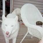 Profile Picture of Christopher Gredzinski (@christopher.gredzinski) on Facebook