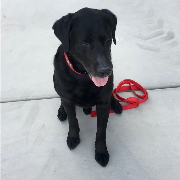 Profile Picture of Gregory Stephens (@gss716) on Poshmark