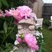 Profile Picture of June Faulkner (@june.faulkner1963) on Facebook