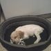 Profile Picture of Paul Mariotti (@paul.mariotti.50) on Facebook