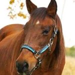 Profile Picture of Joan Stokdyk (@stokdyk) on Instagram