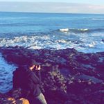 Paul Gilbert - Instagram Profile Picture of Paul Gilbert (@pg_tips_96) on Instagram