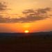 Profile Picture of Brendan Lahr (@brendanlahr4) on Pinterest