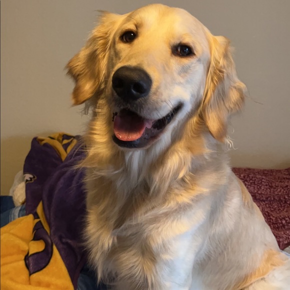 Profile Picture of David Wesley (@yelsewdivad) on Poshmark