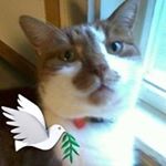 Profile Picture of Lars-Eric Johansson (@johansson.larseric) on Instagram