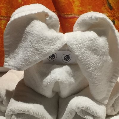 Profile Picture of Kai-Sheng Ken Hsu (@apollo168) on Twitter