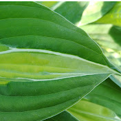 Profile Picture of Xandl Schmidhammer (@xschmidhammer) on Youtube