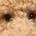 Profile Picture of Jacob Boatwright. (@jacob_boatwright_1018) on Instagram