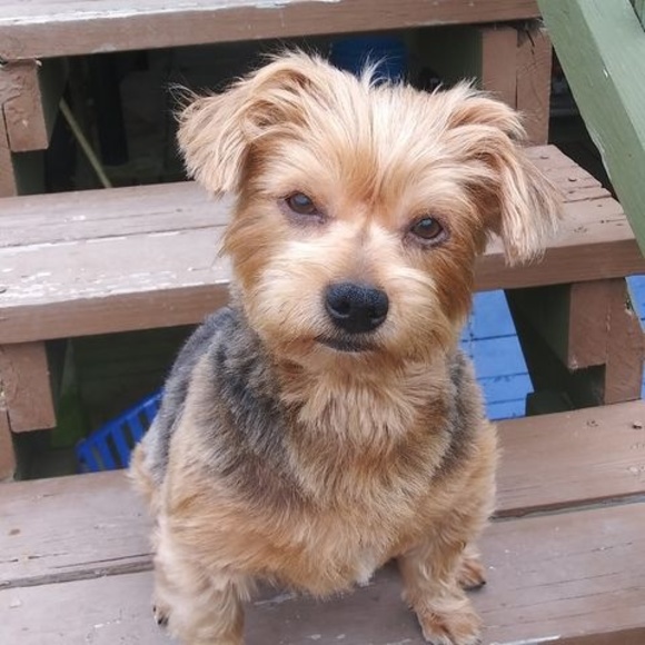 Profile Picture of Louise Watson (@gertielouleese) on Poshmark