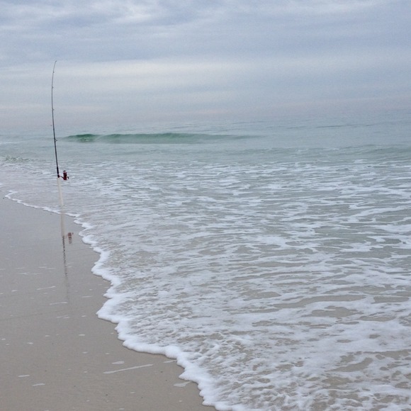 Profile Picture of Lauren Cascarella (@lfcascarella24) on Poshmark