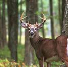 Profile Picture of Dwight Kearns (@dwight.kearns.1) on Facebook